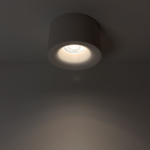Flow S Ceiling Spotlight